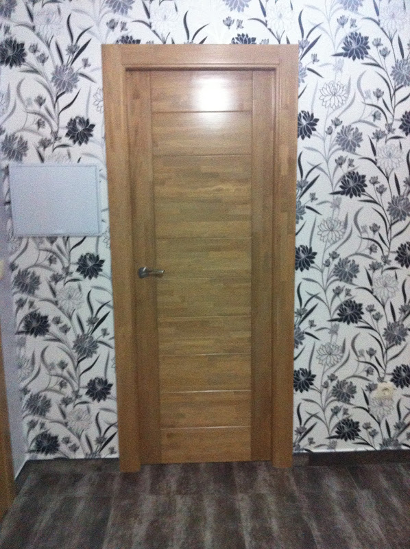 Puerta Interior Moderna 2